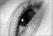Regard