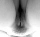 Le sourire vertical